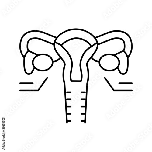 ovaries endocrinology line icon vector illustration