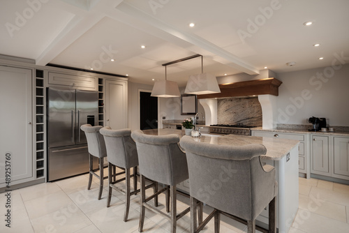 Beautiful luxurious traditional style modern kitchen in grey