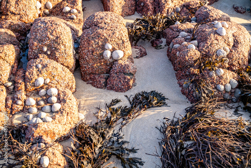 The beautiful stones at Cloughglass bay and beach by Burtonport in County Donegal - Ireland photo