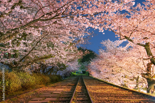 蹴上インクラインの夜桜