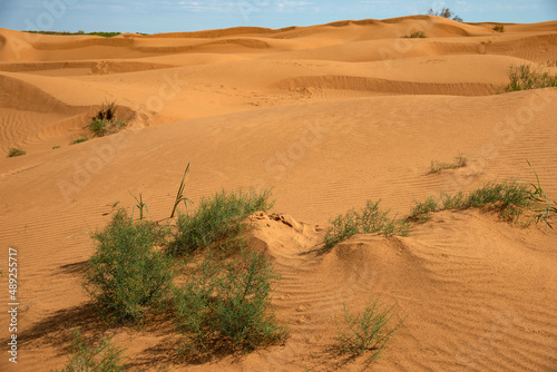 Astrakhan desert. The largest desert in Russia