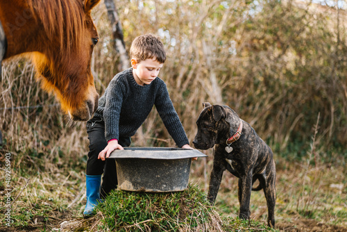 Boy with washbowl of food near horse and dog