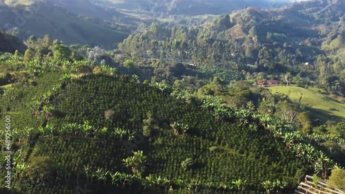 Landscape with trees - Plantations - Jardín (ant) Colombia