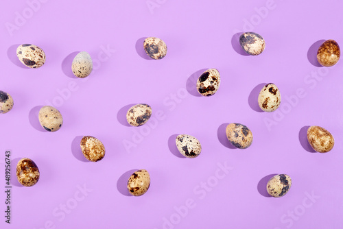 Quail eggs on a lilac background. Easter background, minimalistic modern easter card
