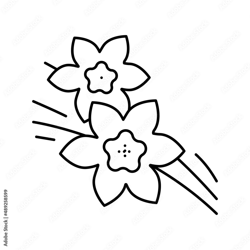 vanilla aromatherapy line icon vector isolated illustration vanilla aromatherapy line icon vector isolated illustration