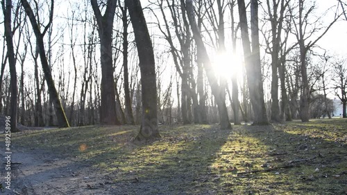 snowdrops flutter in the wind
