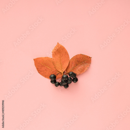 currants on a wooden background