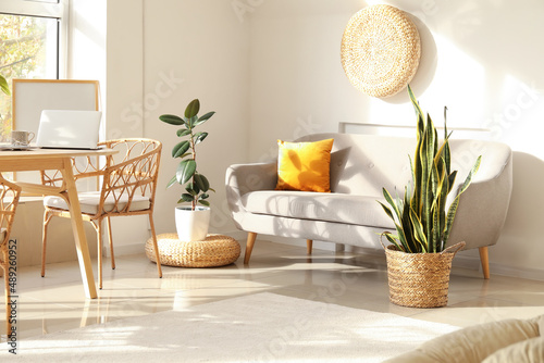 Interior of light living room with wooden table, grey sofa and houseplants