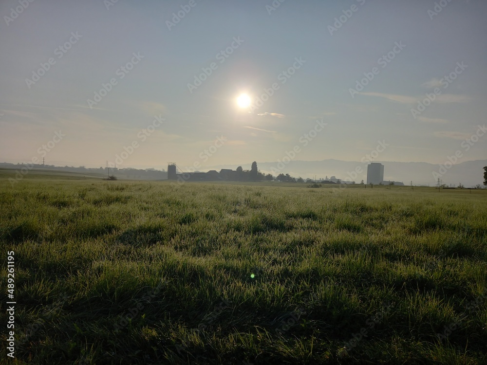 Fototapeta premium Natur