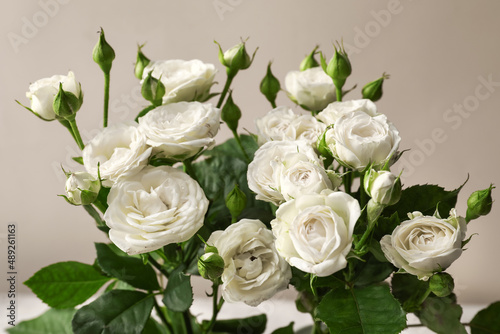 Bouquet of beautiful fresh roses on beige background, closeup