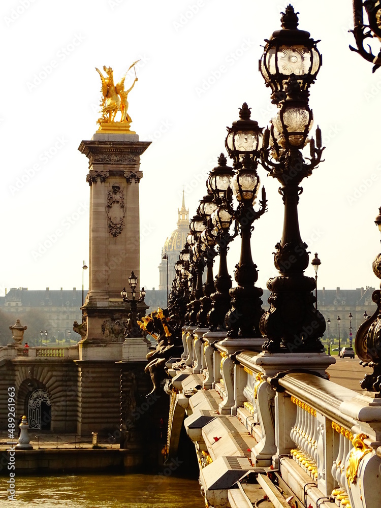Fototapeta premium Pont alexandre III in Paris, 