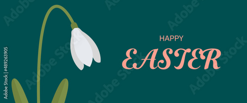 Snowdrop Galanthus flower background. Happy Easter, vector