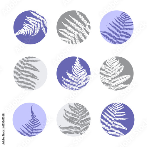 Set of story highlights covers with fern leaves for organic natural blogs and social networks design