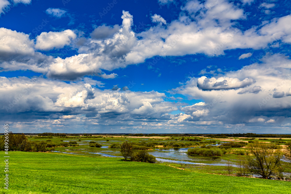 Poland. The Biebrza National Park. Overflow area of the Biebrza River near Burzyn village