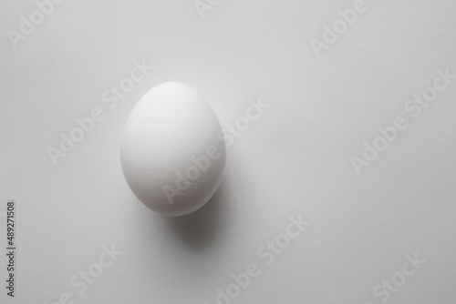 White egg on white background with soft shadows