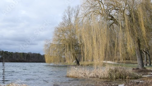Autumn weather on a lake in Germany