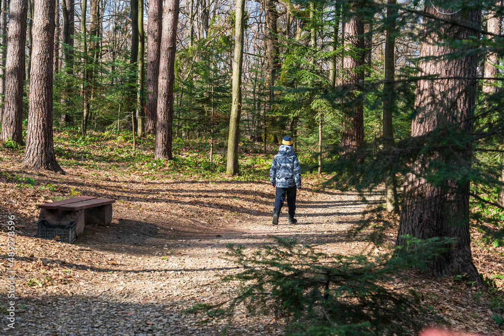A lonely boy walks along a forest path on a sunny day among tall trees. Rear side view A lonely boy walks along a forest path on a sunny day among tall trees. Rear side view
