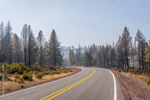 Aftermath of the Two-Four-Two fire that burned parts of Chiloquin, Oregon © MyPhotoBuddy