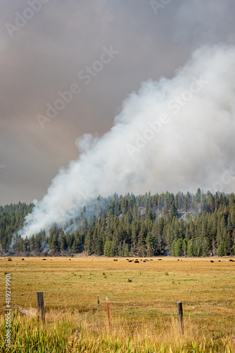 Aftermath of the Two-Four-Two fire that burned parts of Chiloquin, Oregon