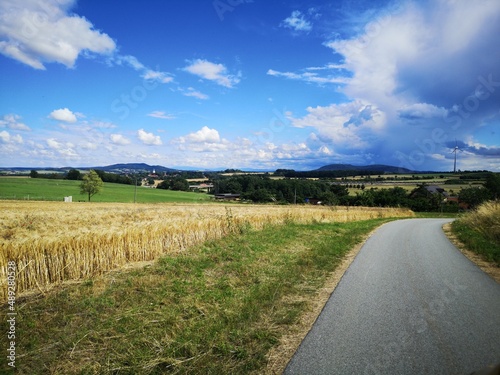 road in the field