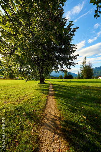 Beautiful Austrian Landscape with Field  Mountains and Pathway. Bad Goisern  Upper Austria. 