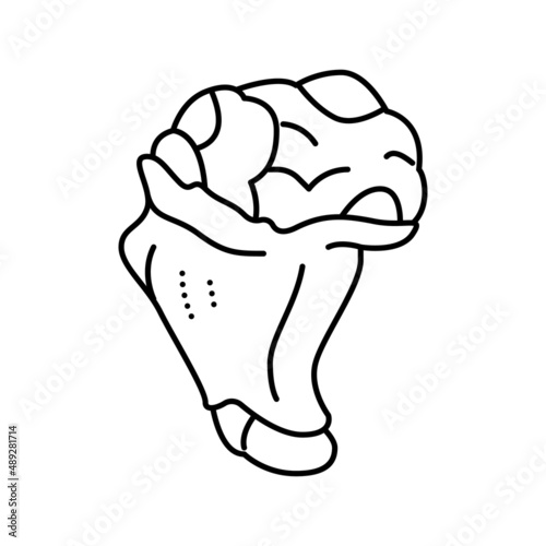 drumette chicken line icon vector illustration