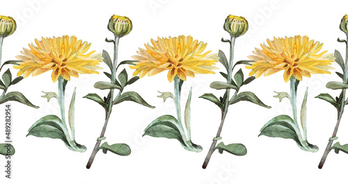 Seamless border watercolor yellow chrysanthemum with green leaves on white background. Vintage hand-drawn branch with flower and bud for celebration card. Nature art for wallpaper wrapping sketchbook