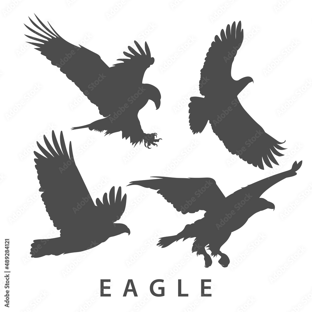 Eagle silhouette isolated on white Eagle silhouette isolated on white