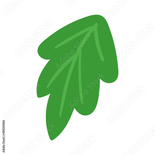 Isolated leaf icon Natural ornament Vector