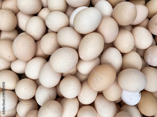 Close up of white eggs in a white bowl. High quality photo