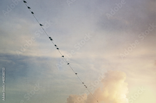 sky and clouds with birds on a wire background