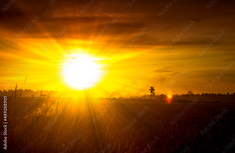 Golden sunset sky with sunrays Golden sunset sky with sunrays