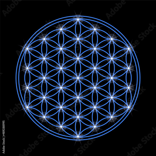 Blue Flower of Life with stars, on black background. Geometric figure and ancient spiritual symbol of the Sacred Geometry. Overlapping circles, forming a flower-like pattern. Illustration. Vector