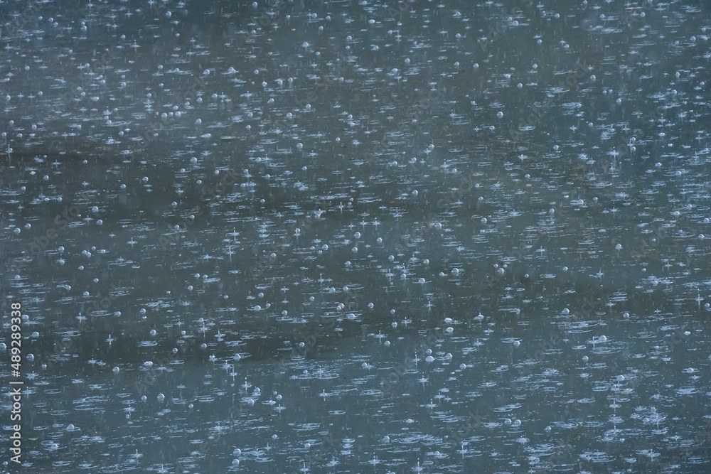 Rain bubbles on the water in rainy weather Rain bubbles on the water in rainy weather