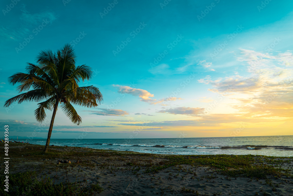 Tropical sundown landscape with palm tree and beach