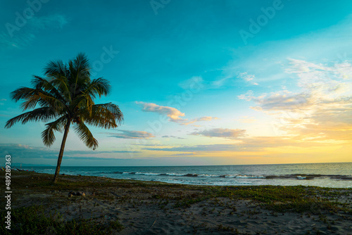 Fototapeta Naklejka Na Ścianę i Meble -  Tropical sundown landscape with palm tree and beach
