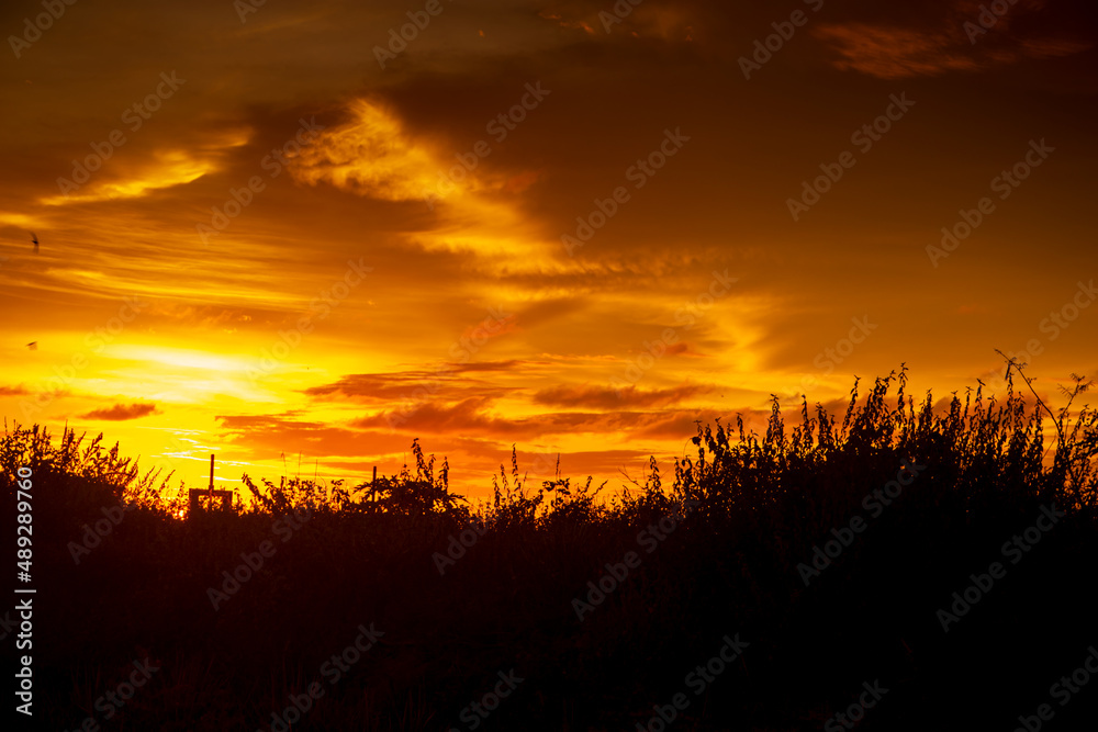 Beautiful sunset silhouette with golden sky