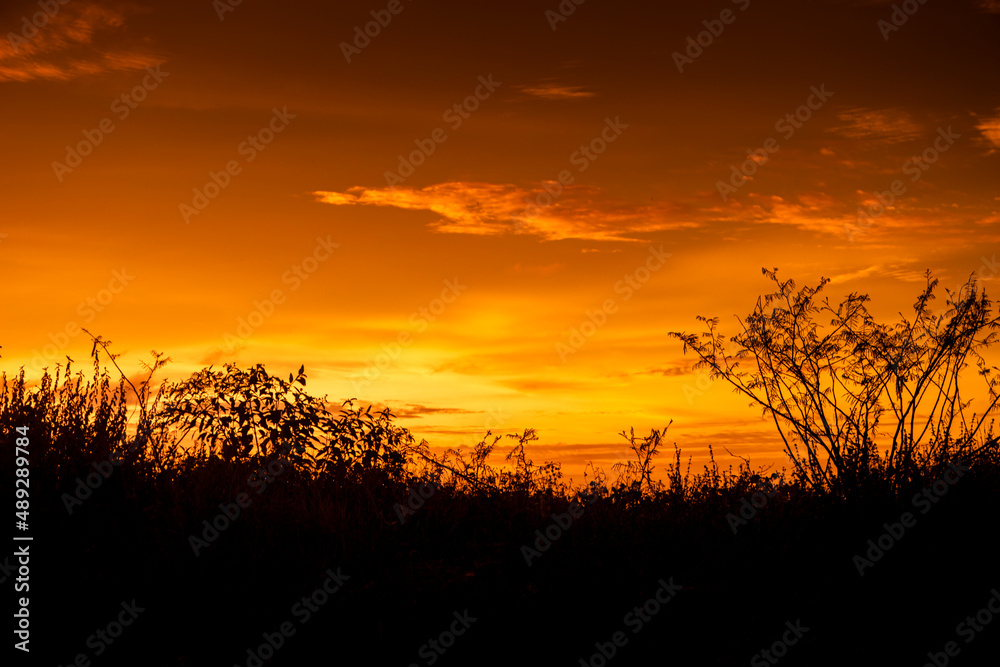 Beautiful sunset silhouette with golden sky
