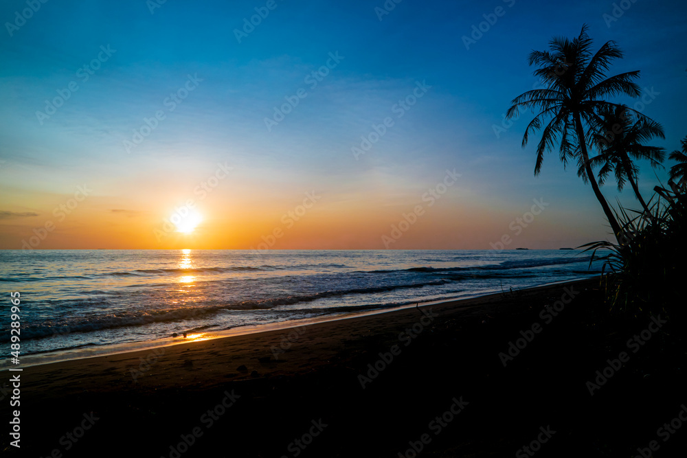 Tropical beach sunset with palm tree and colorful sky