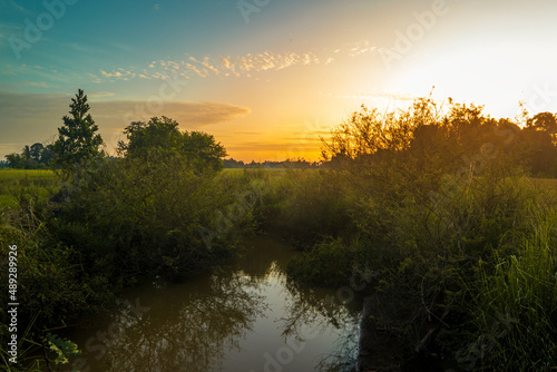Rural sunset with creek and trees