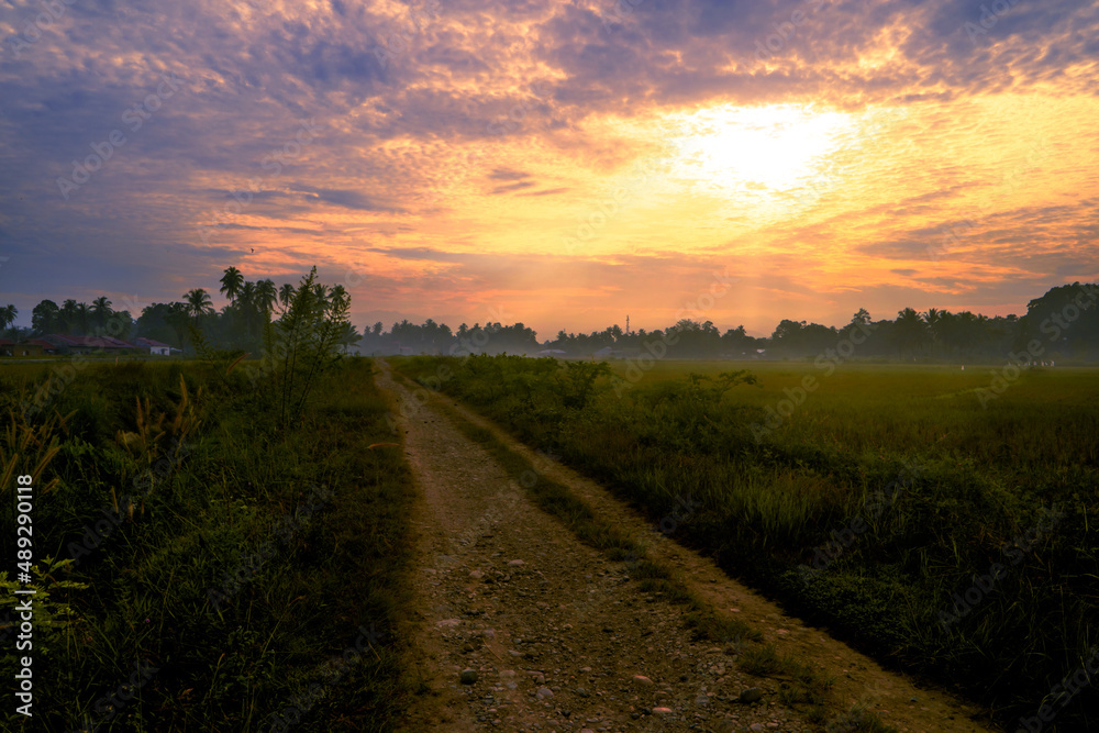 Rural sunrise panorama with road