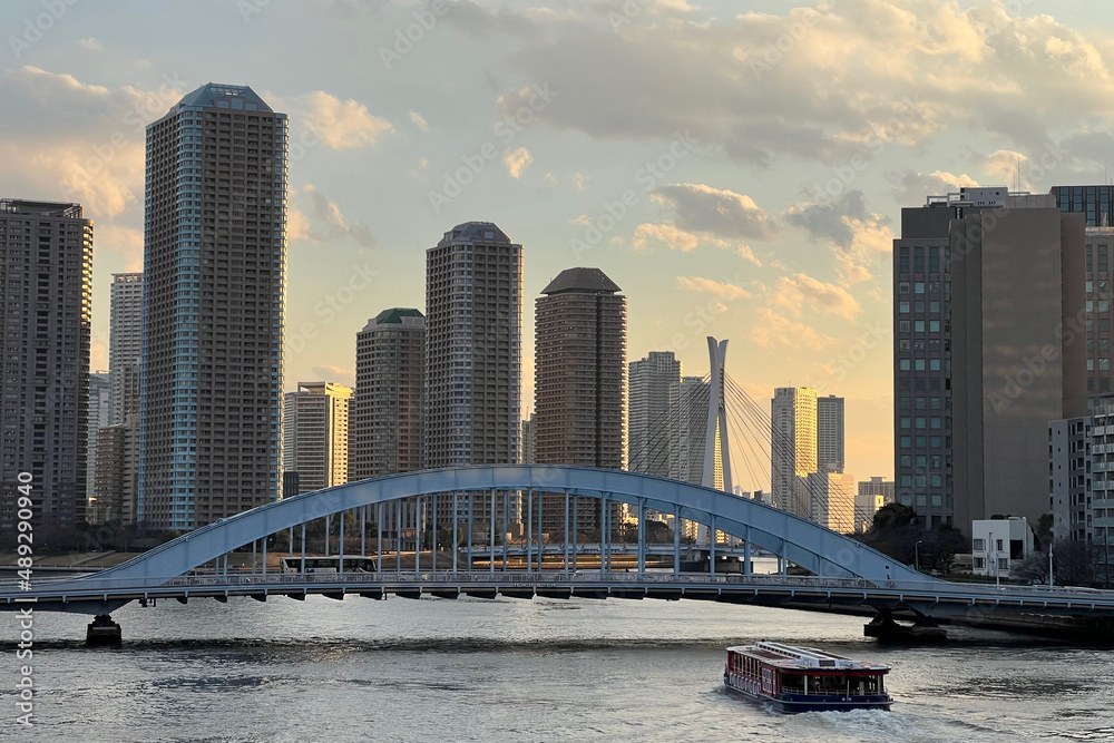 永代橋とタワーマンション群。夕方に東京・隅田川大橋から撮影