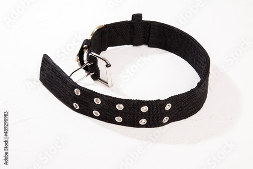 Black dog collar on white background