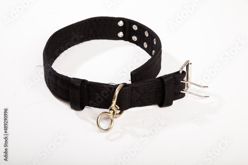 Black dog collar on white background