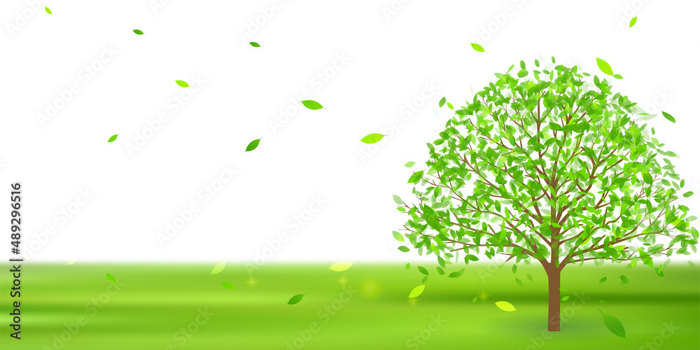 新緑　木　風景　背景