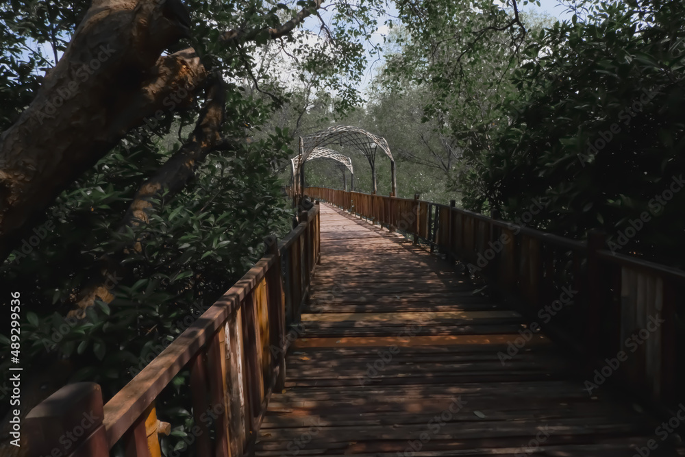 wooden bridge in the forest