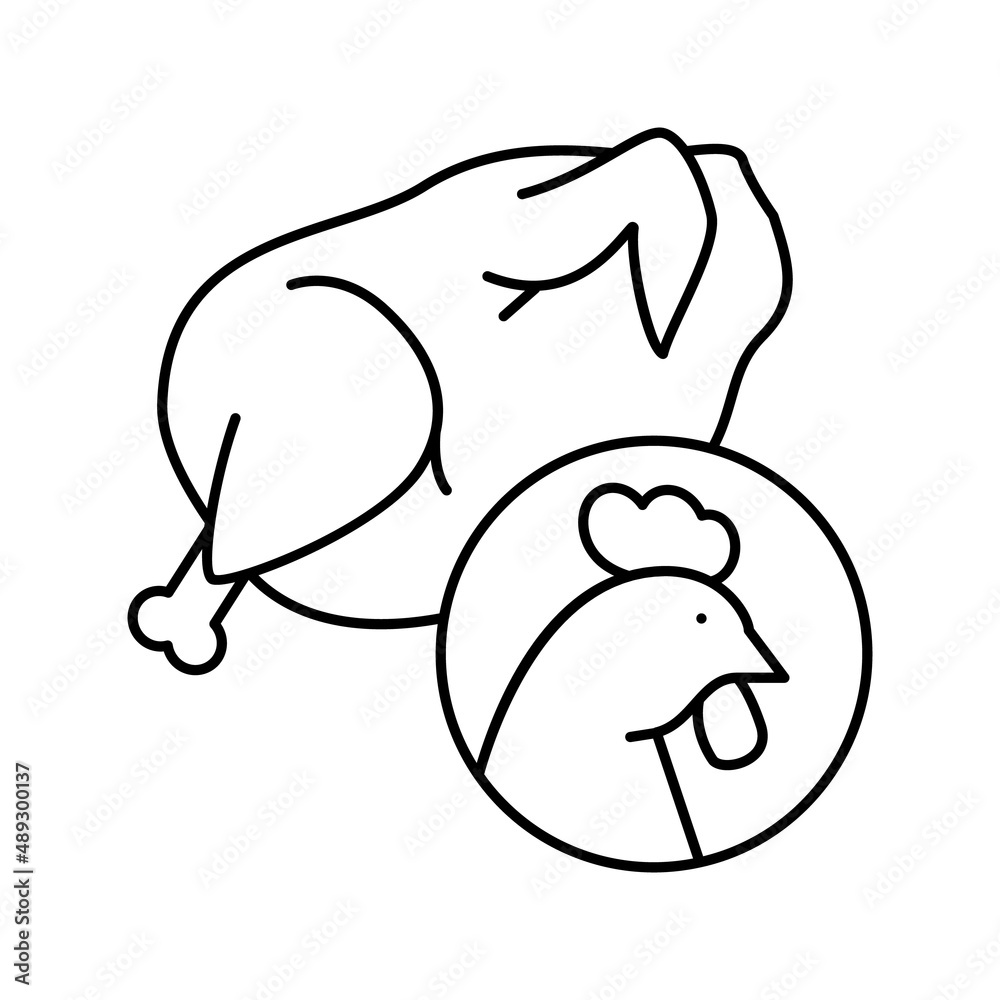 chicken meat carcass line icon vector illustration chicken meat carcass line icon vector illustration