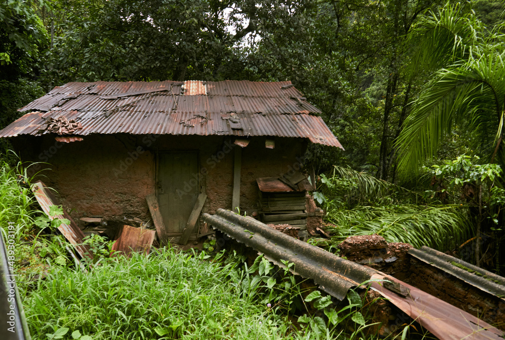 Old hut located among green exotic trees Old hut located among green exotic trees