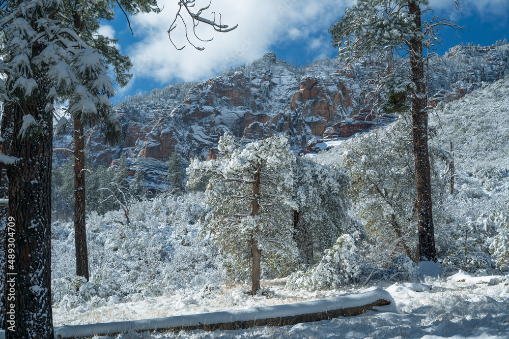 Snowbound Sedona Arizona USA