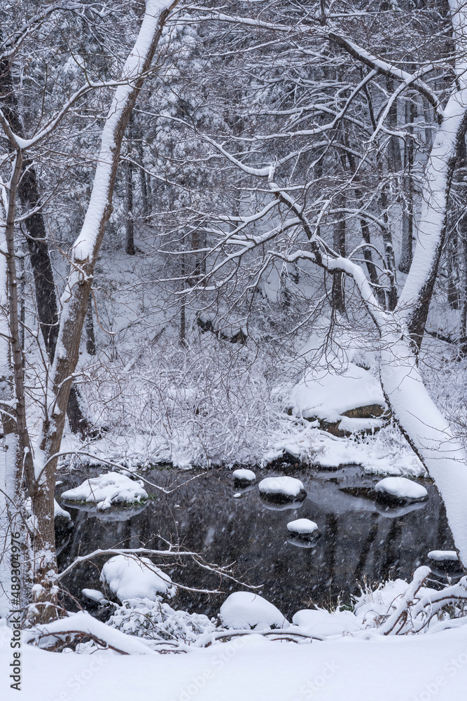Snowbound Sedona Arizona USA